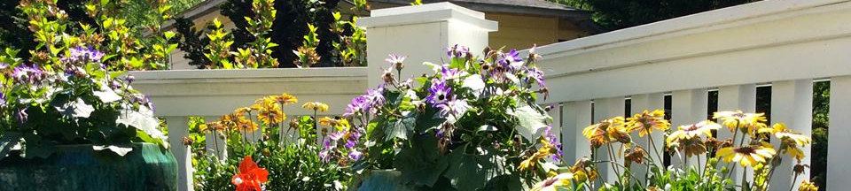 Flower boxes on the Abbington Green porch